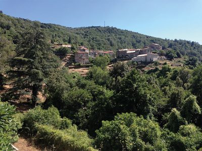Cardo Torgia