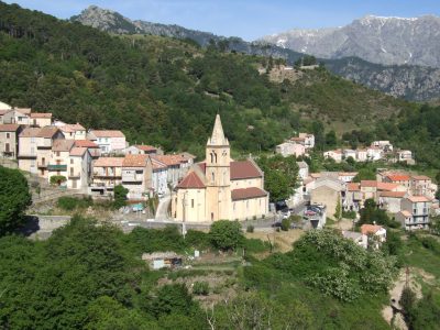 Vivario