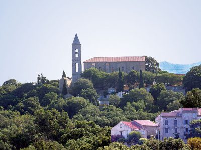 Figari