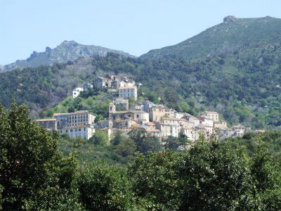 Oletta